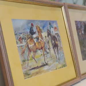 The 'Creek Pony Collection'